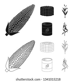 Vector illustration of cornfield and vegetable logo. Collection of cornfield and vegetarian stock symbol for web.