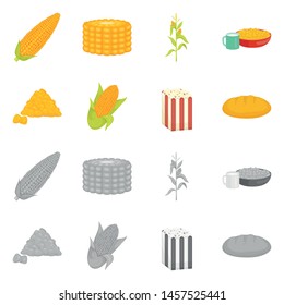 Vector illustration of cornfield and vegetable sign. Collection of cornfield and vegetarian stock vector illustration.