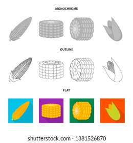 Vector illustration of cornfield and vegetable symbol. Collection of cornfield and vegetarian stock symbol for web.