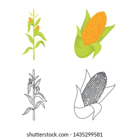 Vector illustration of cornfield and vegetable symbol. Collection of cornfield and vegetarian stock vector illustration.