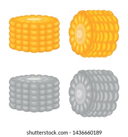 Vector illustration of cornfield and vegetable symbol. Set of cornfield and vegetarian stock symbol for web.