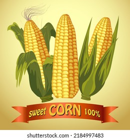 Vector illustration with corn.Ripe maize cobs on color background with text in vector illustration.