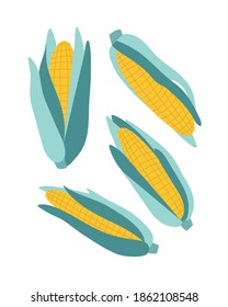 Vector illustration of corns. Set of corns isolated on white background. Hand-drawn. Illustration of vegetables. Suitable for illustrating healthy eating, recipes, local farm.