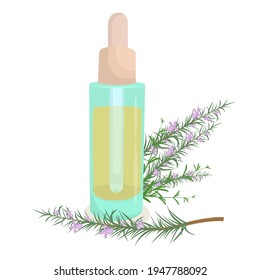 vector illustration of cosmetic oil in a glass bottle with an pipette  with a sprig of rosemary lying next to it