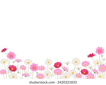Vector illustration of cosmos field