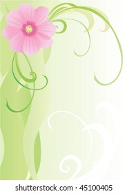 vector illustration of cosmos flower