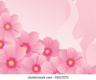 vector illustration of cosmos flower