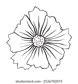 Ilustración vectorial de la flor del cosmos. Flor del cosmos para su diseño
