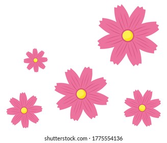 Vector illustration of cosmos flowers blooming in autumn . 