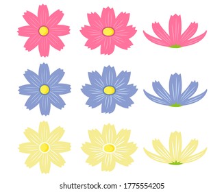 Vector illustration of cosmos flowers blooming in autumn . 