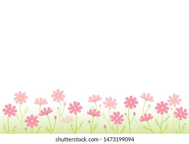 Vector illustration of cosmos garden