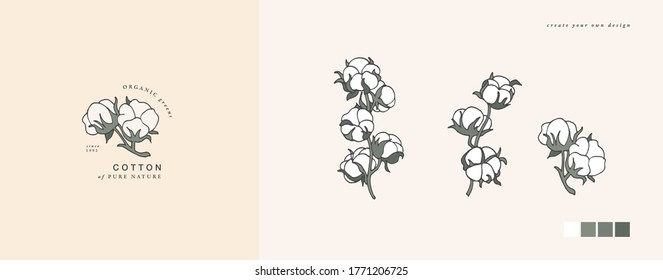 Vector illustration cotton branch - vintage engraved style. Logo composition in retro botanical style