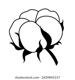 Vector illustration of a cotton flower