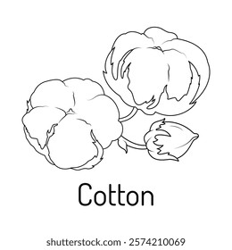 Vector illustration of a cotton plant with flowers and buds in a clean, black and white line art style. Perfect for botanical designs, textiles, eco-friendly themes, and educational purposes.