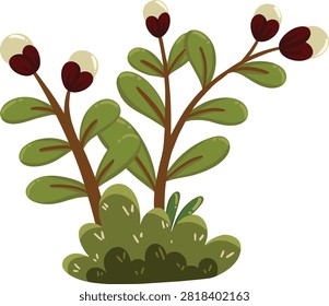 vector illustration of a cotton tree flower 