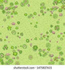 Vector illustration. Countryside with forest. Top view. Trees, bushes, stones, grass. View from above.