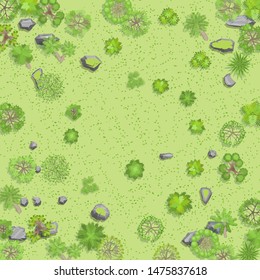 Vector illustration. Countryside with forest. Top view. Trees, bushes, stones, grass. View from above.