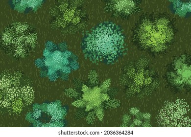 Vector illustration. Countryside with forest. Top view. Trees, bushes, grass. View from above.