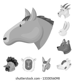 Vector illustration of countryside and homestead logo. Collection of countryside and breeding stock vector illustration.