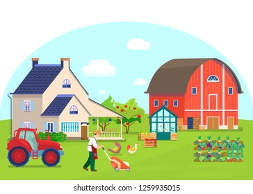 Vector illustration of countryside scene. Farmer mowing the lawn. Country house, red barn, greenhouse, tractor, chikens pecking grain, wooden boxes with vegetables, vegetable beds, apple orchard.