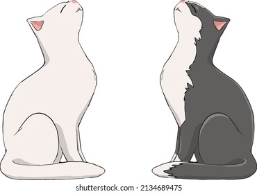 vector illustration of a couple of cats in love 