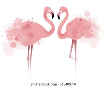 Vector illustration of couple pink flamingos with watercolor splatter and splash