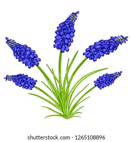 Vector illustration for cover or banner.