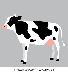 Vector illustration of a cow