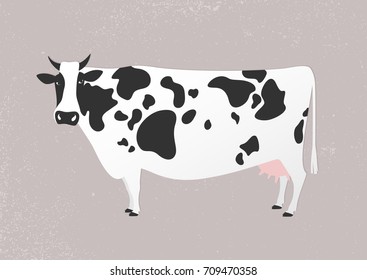 Vector illustration of a cow