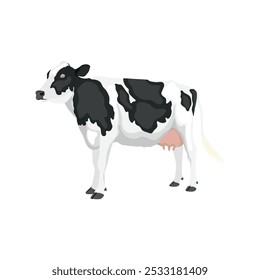 Vector illustration of cow in cartoon flat style. Cattle domestic animals farming. Black and white colors. Cattle breeding and stock raising Farming today