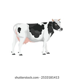 Vector illustration of cow in cartoon flat style. Cattle domestic animals farming. Black and white colors. Cattle breeding and stock raising Farming today