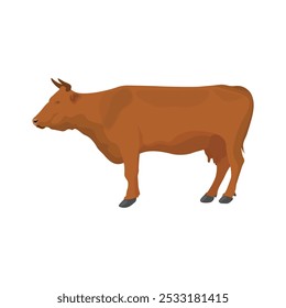 Vector illustration of cow in cartoon flat style. Cattle domestic animals farming. Black and white colors. Cattle breeding and stock raising Farming today