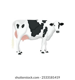 Vector illustration of cow in cartoon flat style. Cattle domestic animals farming. Black and white colors. Cattle breeding and stock raising Farming today