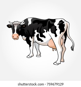 Vector illustration of a cow. A illustration for dairy, product or farm company.