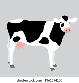 Vector illustration of a cow. Domestic animal illustration. Farm collection