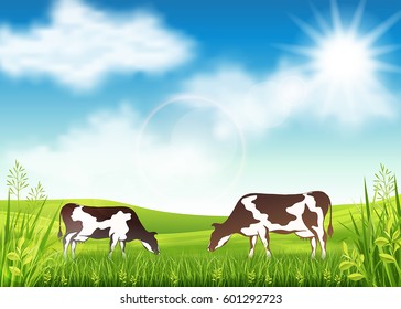 Vector illustration of cow grazing in a summer meadow