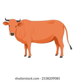 Ilustração vetorial de vaca isolada sobre um fundo branco. Animal de criação. Vaca em regime de pastagem para desenho animado