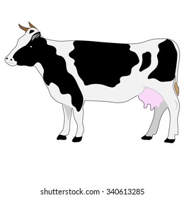 Vector illustration of a Cow on a white background