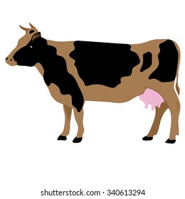 Vector illustration of a Cow on a white background