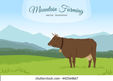 Vector illustration: Cow and rural meadow  on the mountain background. Natural landscape.