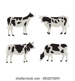 Vector illustration of a cow with several positions suitable for vector logo designs