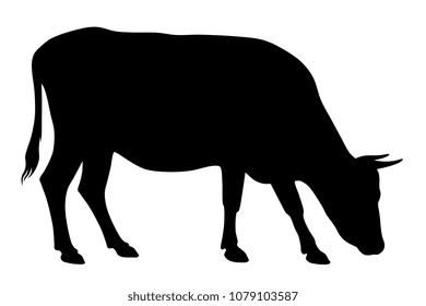 Vector illustration of cow silhouette