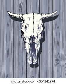 Vector illustration of cow skull on wooden background. Face view. 