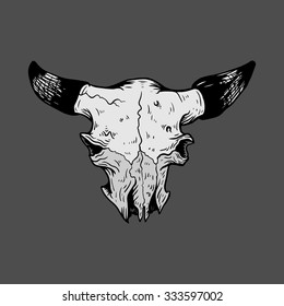 Vector illustration of cow skull stylized as engraving. Face view.