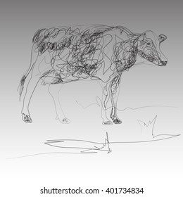 vector illustration cow in the style of hand drawn on the gray background