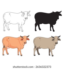 vector illustration of cow in various appearances