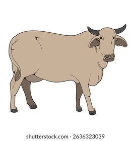 ilustração vetorial de vaca em aparências vintage