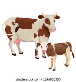 Vector illustration of cow with white brown calf on white background