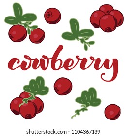 vector illustration of cowberry and leaf design with lettering background white EPS10