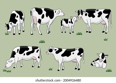 vector illustration cow,It's a cute cartoon style set on a green background with a calf standing, sitting, walking, eating grass.hand drawn.